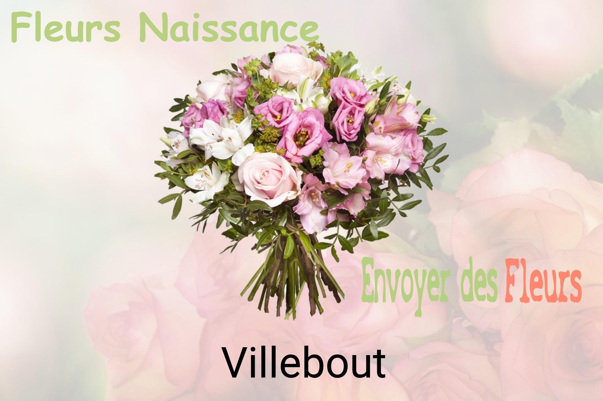 Bouquet de fleurs de naissance livré à Villebout