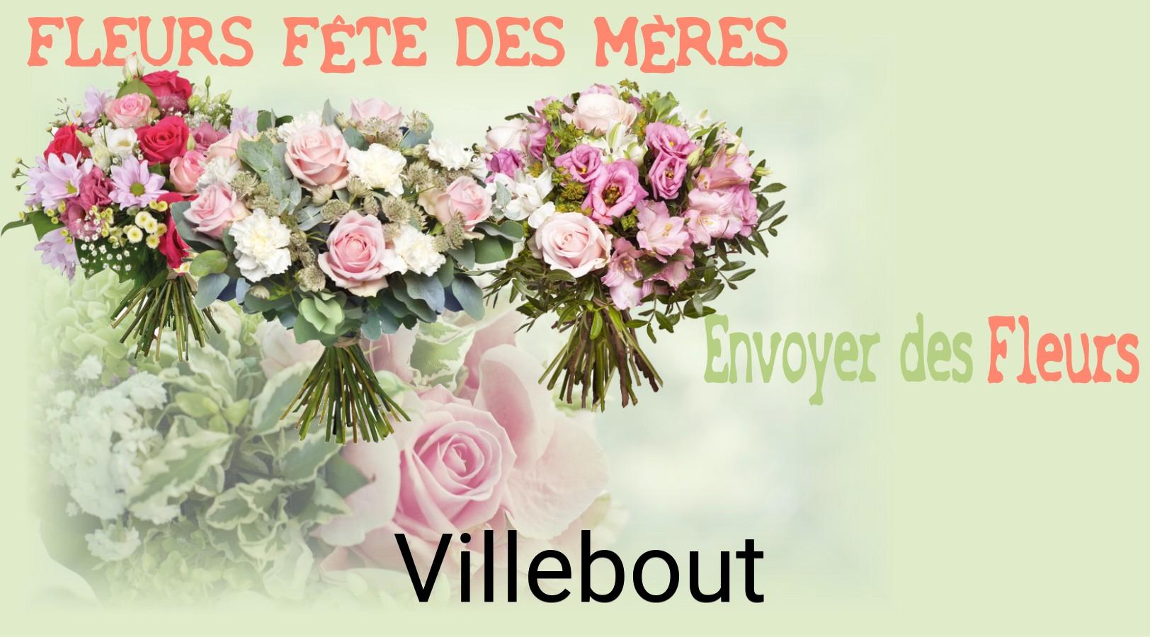 Bouquet de Fête des Mères livré à Villebout